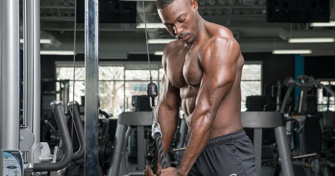 The Best Triceps Building Tips And Workouts!